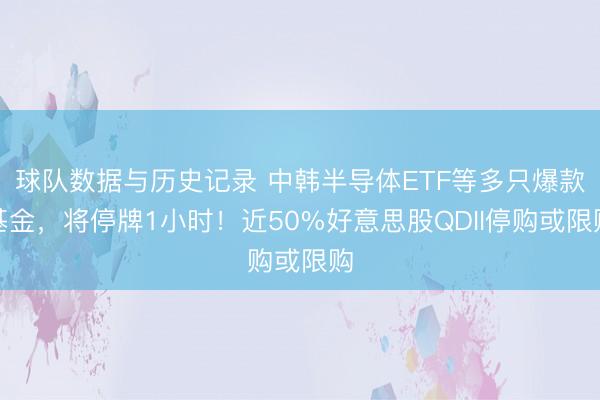 球队数据与历史记录 中韩半导体ETF等多只爆款基金，将停牌1小时！近50%好意思股QDII停购或限购