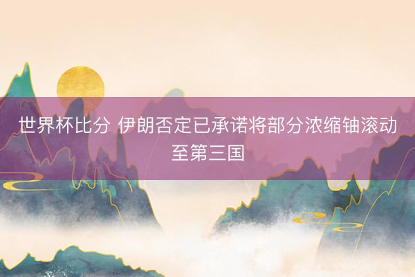 世界杯比分 伊朗否定已承诺将部分浓缩铀滚动至第三国