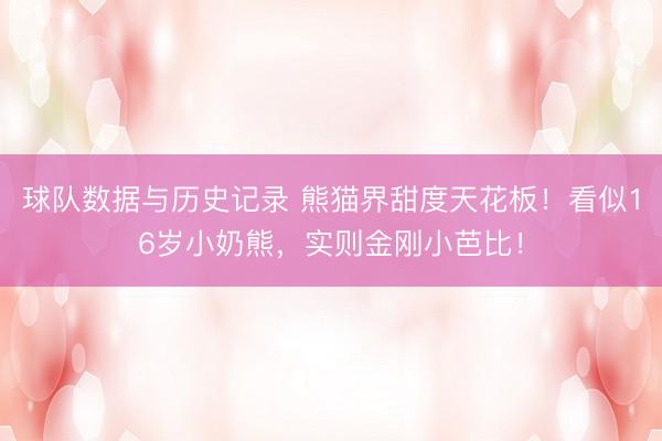 球队数据与历史记录 熊猫界甜度天花板!看似16岁小奶熊,实则金刚小芭比!