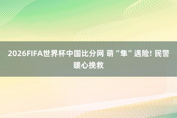 2026FIFA世界杯中国比分网 萌“隼”遇险! 民警暖心挽救